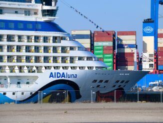 Ein Kreuzfahrtschiff liegt am Hamburger Kreuzfahrtterminal Steinwerder.