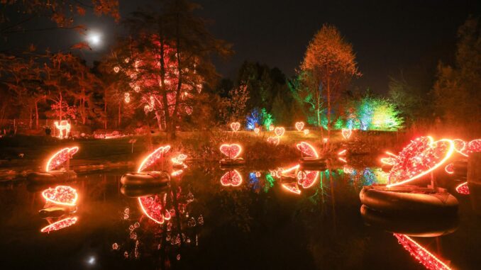 Der Christmas Garden hat begonnen.