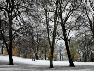 In Hamburg und Schleswig-Holstein ist in der Nacht der erste Schnee liegen geblieben.