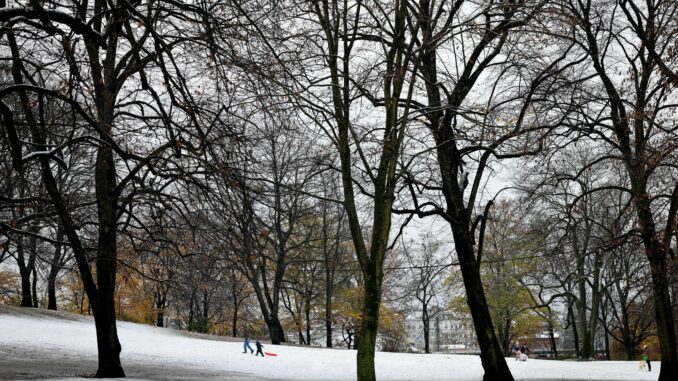 In Hamburg und Schleswig-Holstein ist in der Nacht der erste Schnee liegen geblieben.