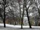 In Hamburg und Schleswig-Holstein ist in der Nacht der erste Schnee liegen geblieben.