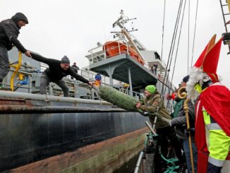 Die Seemannsmission hat im Rostocker Hafen Tannenbäume verteilt.