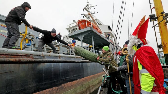 Die Seemannsmission hat im Rostocker Hafen Tannenbäume verteilt. 