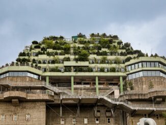 Tausende Menschen laufen jede Woche auf den begrünten Bunker am Heiligengeistfeld.