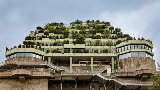 Tausende Menschen laufen jede Woche auf den begrünten Bunker am Heiligengeistfeld.