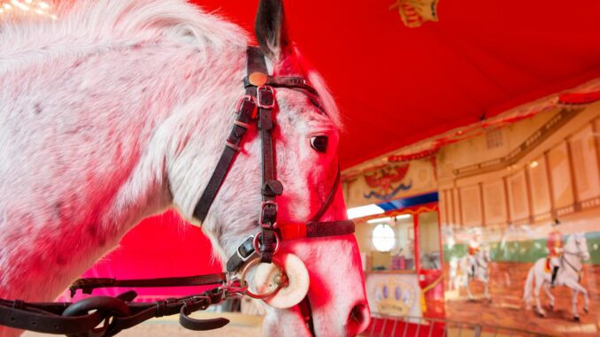 Die Stadt verbannt das Pony-Karussell vom Hamburger Dom. (Archivbild)