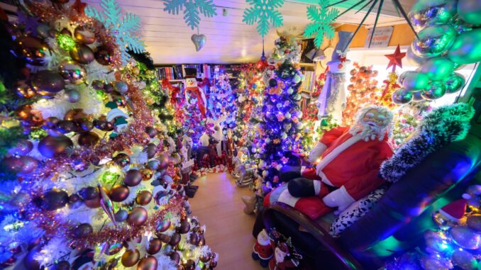 Hunderte Weihnachtsbäume finden in einem Haus in Niedersachsen Platz (Archivbild).