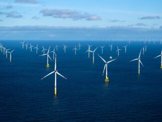 Die Windbranche blickt anders als viele andere Industriebereiche positiv in die Zukunft. Sie rechnet auch damit, dass die Windräder auf hoher See immer größer werden (Archivbild)