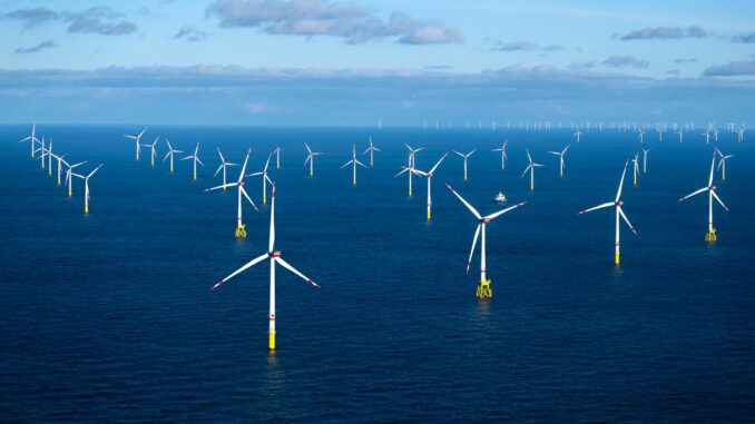 Die Windbranche blickt anders als viele andere Industriebereiche positiv in die Zukunft. Sie rechnet auch damit, dass die Windräder auf hoher See immer größer werden (Archivbild)