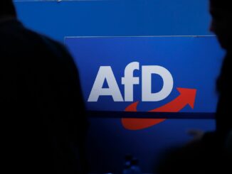 Im vergangenen Jahr war die AfD noch leer ausgegangen. (Archivbild)