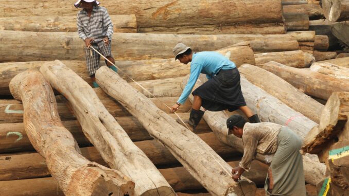 Mit dem Import von Teakholz aus Myanmar, das in Taiwan bearbeitet wurde, hat ein Hamburger Holzhandelsunternehmen laut einem Gerichtsurteil nicht gegen ein EU-Embargo verstoßen.