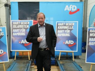 «Hart für Hamburg» ist das Motto der Wahlplakate der AfD