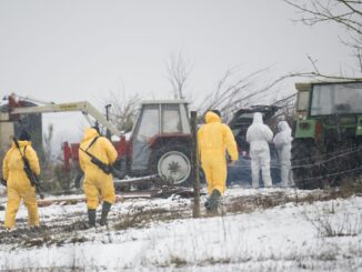 Nach dem Ausbruch der Maul- und Klauenseuche in Brandenburg hat das Agrarministerium in Kiel Tierhalter in Schleswig-Holstein zu einer erhöhten Wachsamkeit aufgefordert.