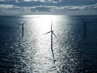 Nabu wirft der Offshore-Branche vor, mehr Flächen auf See zu beanspruchen. (Archivbild)