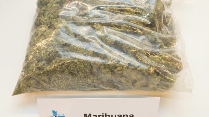 Mehr als 20 Kilogramm Marihuana hat die Hamburger Polizei bei einer Drogenrazzia in Hamburg und Schleswig-Holstein sichergestellt. (Symbolbild)