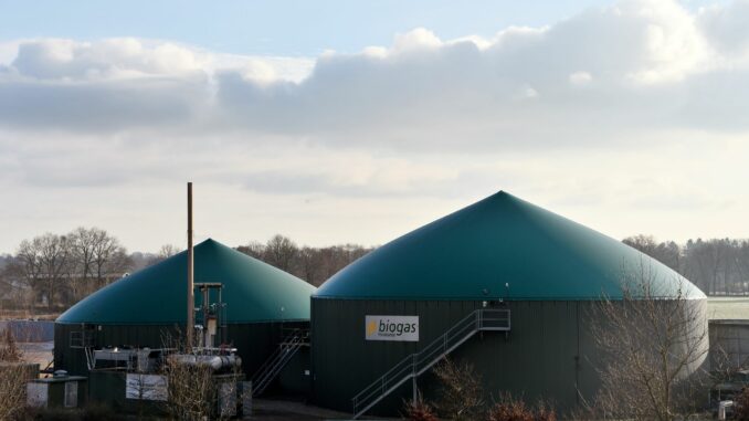 Die Biogas-Branche fürchtet das Auslaufen von Fördermitteln. (Symbolbild)