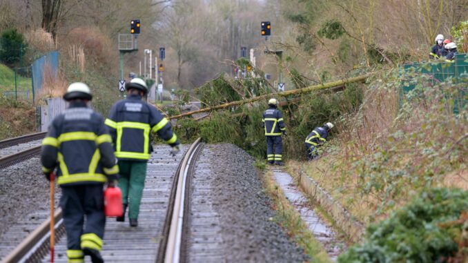 Am Neujahrstag musste die Feuerwehr wegen Sturmschäden ausrücken. (Archivbild)