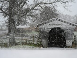 In Ostfriesland freuen sich die Menschen über Schnee.