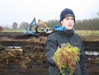 Noch sieht es wüst aus im trocken gelegten Grotmoor, doch schon bald entsteht dort ein neuen, intaktes Moor.