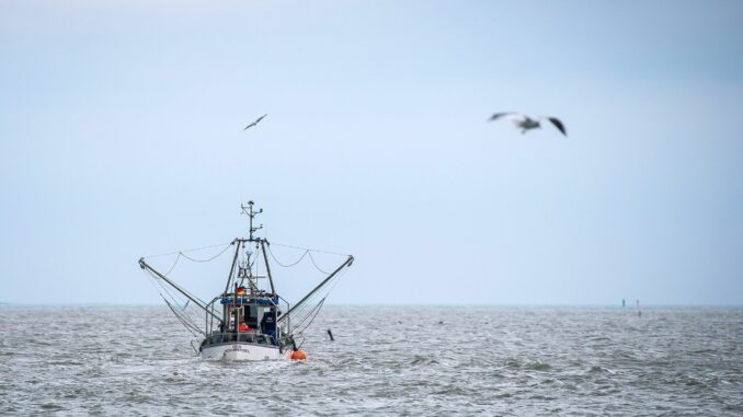 Die Schutzgebiete in der Ostsee könnten für die Fischer im Norden einschneidend sein. (Symbolbild)