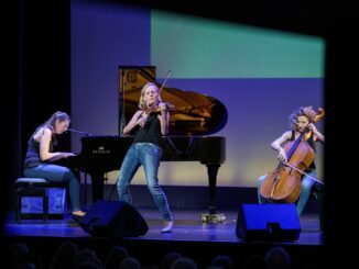 Seit mehr als 20 Jahren gibt es das Quartett Salut Salon. (Archivbild)