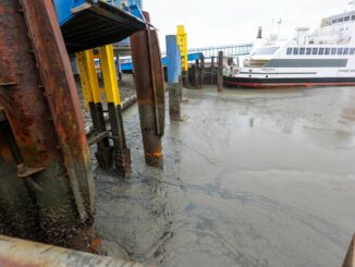 Wegen niedriger Wasserstände infolge kräftigen Ostwindes fallen Fähren von und zu mehreren Nordseeinseln aus. (Archivbild)