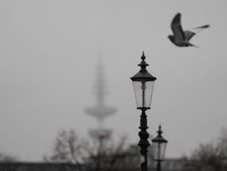 Die Menschen im Norden erwartet eine neblig-trübe Woche - teils wird es jedoch auch freundlich. (Symbolfoto)