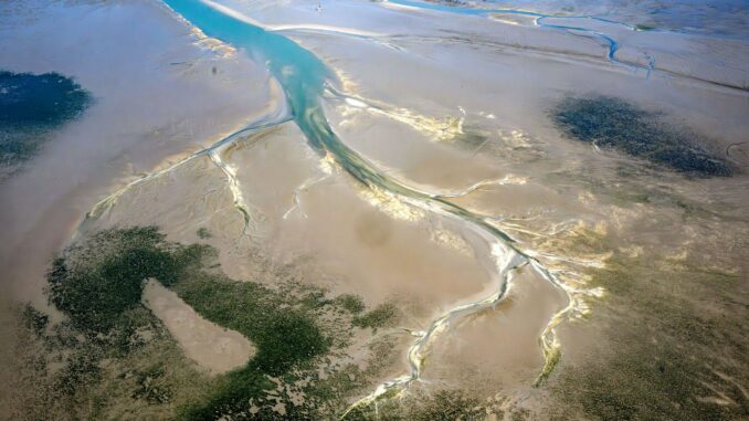 Naturschützer wünschen sich unter anderem große, fischereifreie Zonen in den Wattenmeer-Nationalparken und anderen Meeresschutzgebieten. (Archivbild)