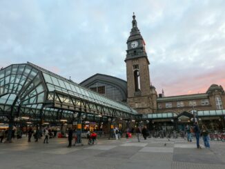 Die gestürzte Frau lag im Hamburger Hauptbahnhof regungslos auf dem Gleis. (Symbolbild)