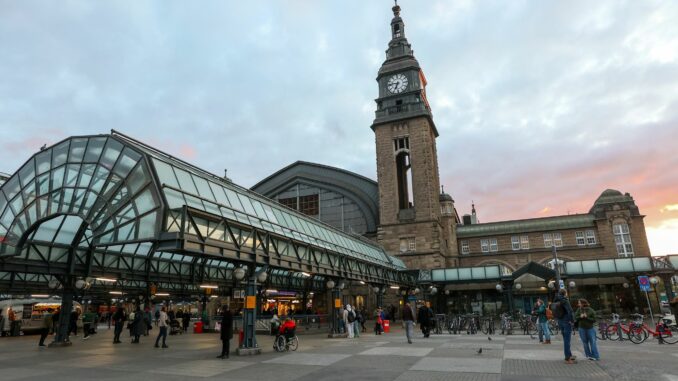 Die gestürzte Frau lag im Hamburger Hauptbahnhof regungslos auf dem Gleis. (Symbolbild)