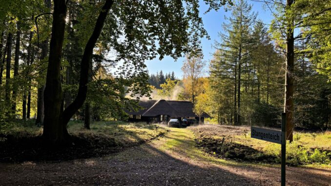 Der Sachsenwald hat von 2021 bis einschließlich 2023 fehlerhaft Geld aus dem kommunalen Finanzausgleich erhalten. (Symbolbild)