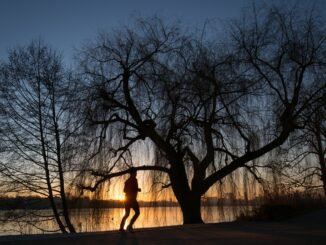 Auch bei wenig Licht laufen Joggerinnen und Jogger gerne am westlichen Alsterufer entlang. Die Strecke soll daher eine neue Beleuchtung bekommen. (Archivbild)