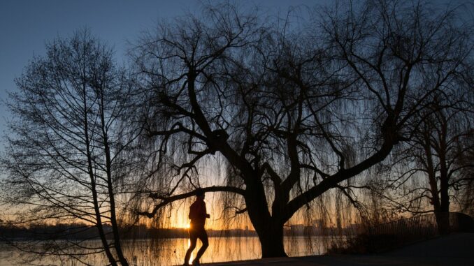 Auch bei wenig Licht laufen Joggerinnen und Jogger gerne am westlichen Alsterufer entlang. Die Strecke soll daher eine neue Beleuchtung bekommen. (Archivbild)