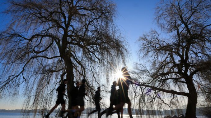 Der Frühling streckt die Fühler aus - in den nächsten Tagen bleibt es im Norden warm und sonnig.