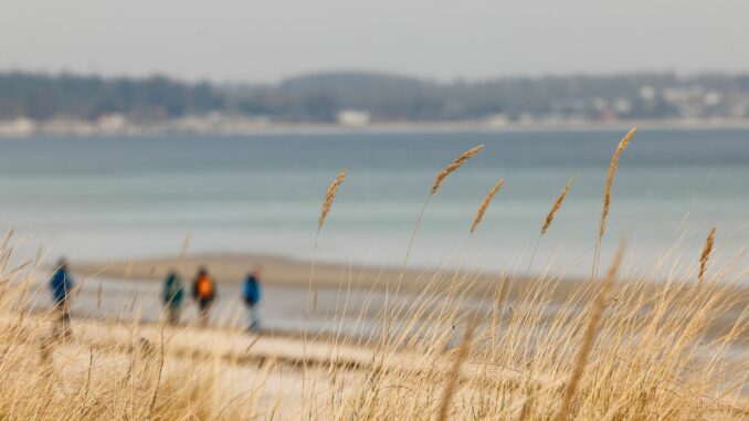 Ein Strandspaziergang passt zu jeder Jahreszeit.