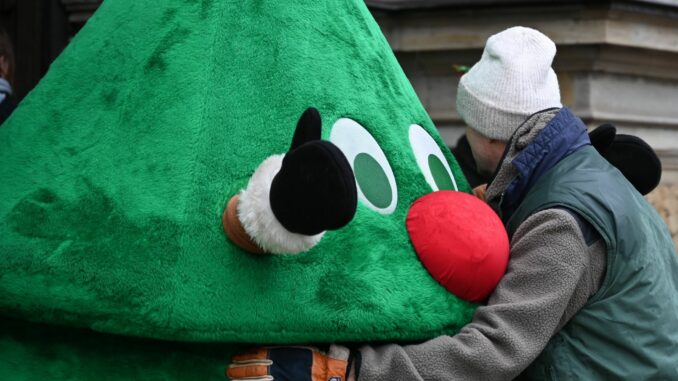 Ein Gärtner muss sich erneut wegen Hausfriedensbruchs verantworten, weil er auf einem umzäunten Kita-Gelände heimlich einen Weihnachtsbaum aufgestellt hatte. (Archivbild)