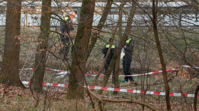 Rund 35 Autominuten von Hamburg entfernt wurde eine Leiche entdeckt.